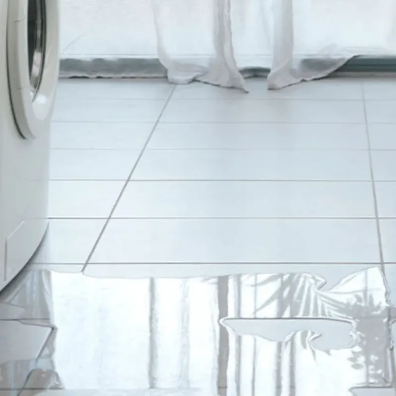 Appliance Leak Cleanup in Prosperity, WV