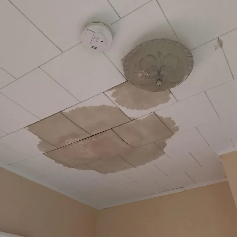 Ceiling Water Damage Repair in Prosperity, WV