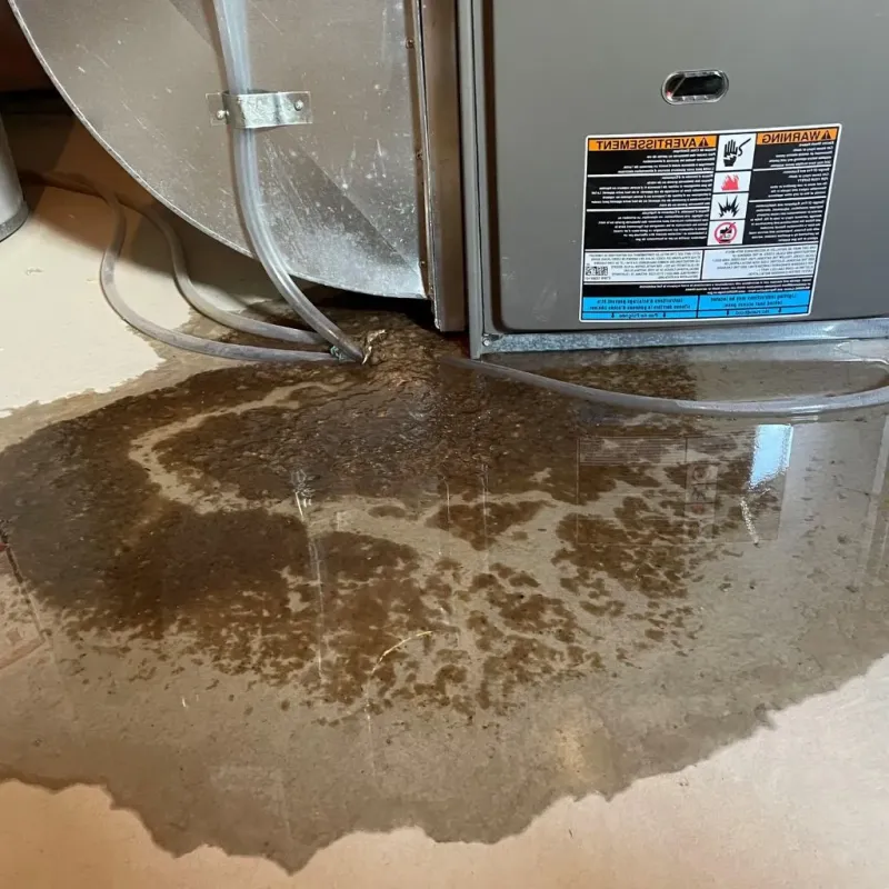 Pipe Burst and Leak Restoration in Prosperity, WV