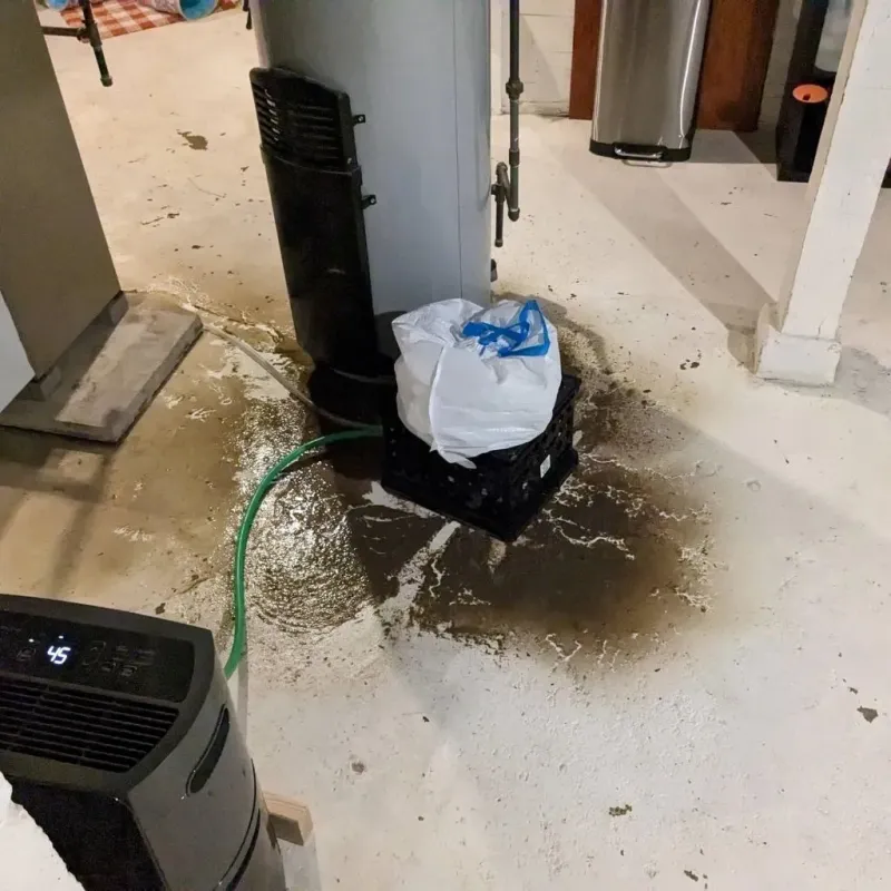 Sewage Backup Cleanup Service in Prosperity, WV